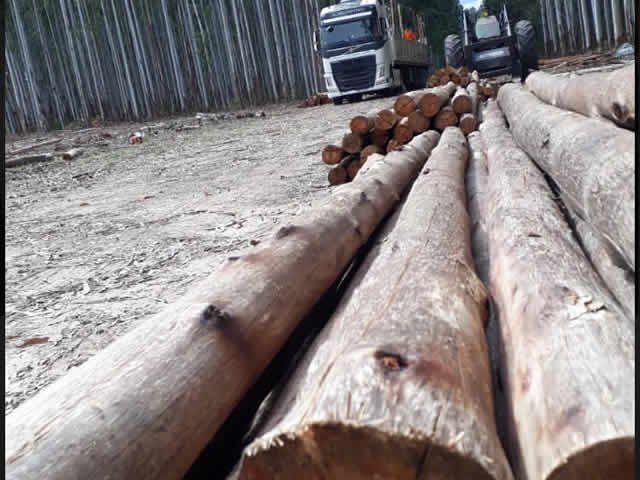 Casas de Troncos Rusticos Durplak