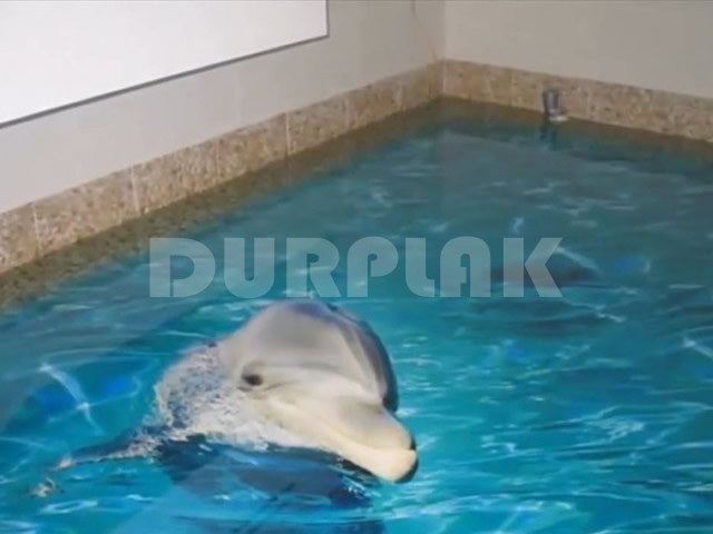 Pisos Porcelanato Liquido Durplak